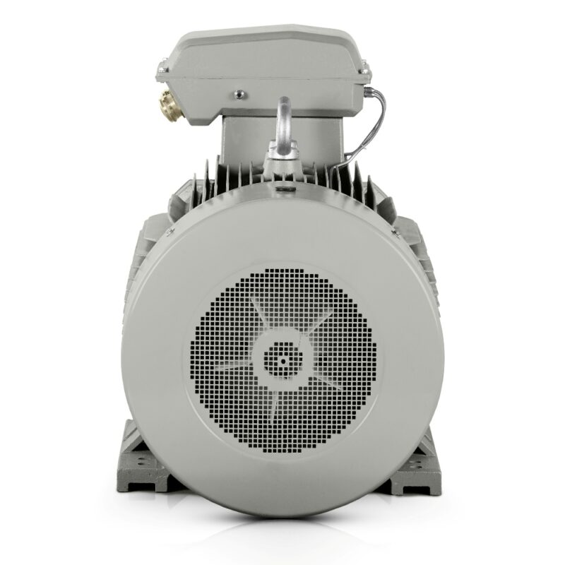 Sähkömoottori 110kW 3LC IE3 400V/690V 3000 rpm Ilmainen toimitus suomeen